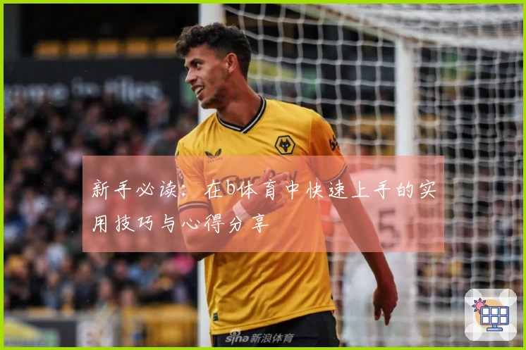新手必读：在b体育中快速上手的实用技巧与心得分享