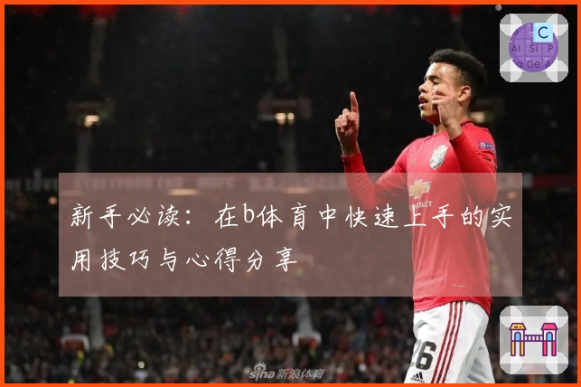 新手必读:在b体育中快速上手的实用技巧与心得分享